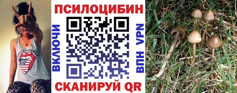 Галлюциногенные грибы Magic Shrooms  hydra ONION  Подпорожье 